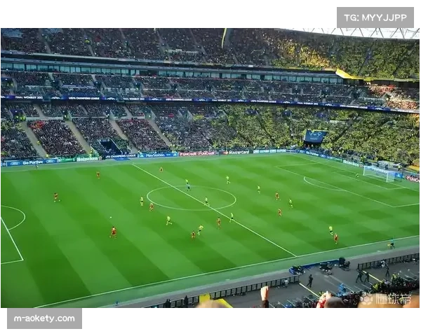 奥萨苏纳主场胜率达60% 主场价值成保级关键变量 奥萨苏纳主场胜率达60% 主场价值成保级关键变量